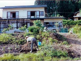 家の庭を畑に