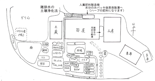 家の庭を畑に