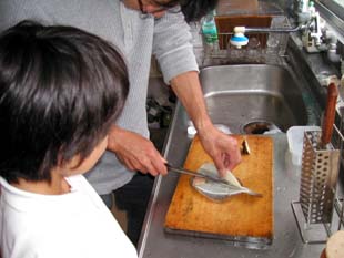 カレイを5枚におろす藤野