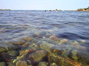 泊村の海水浴場