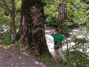 層雲峡村