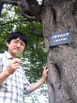 大橋博文